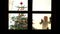 Portrait of amusing child dancing close Christmas tree looking and waiting on window for Santa Claus