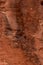 Portrait of ancient hieroglyphs on red rock, Valley of Fire, Nevada, USA