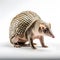 Portrait of an armadillo isolated on a white background.