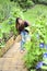 Portrait asia young woman happy and smile on Doi tung garden, Dh