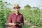 Portrait of Asian farmer woman wearing glasses  while standing holding the tablet in the garden agricultural, Asia women happy and