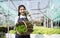 Portrait of Asian farmer young woman hold basket of vegetable in farm. Attractive agriculturist stand and holding carry