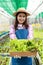 Portrait of an Asian female farmer Holding a wooden crate of green lettuce Standing in a modern greenhouse.