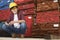 Portrait of an Asian female industrial worker holding cell phone with stacked wooden planks in background