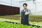 Portrait asian man farmers standing thumbs up working organic vegetable in hydroponics greenhouse.