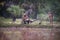 Portrait of Asian Still life of farmers family in the countryside. Farmers work in rice farm in rural local Thailand