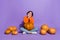 Portrait of attractive cheery lovely girl sitting holding big pumpkin November time isolated over bright purple violet