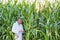 Portrait of Attractive Crop scientist wearing lab coat while using digital tablet against corn plant growing in field