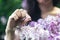 Portrait of an attractive woman surrounded by lilac bushes. Spring and summer, seasonal photos. Divination on petals.