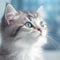 Portrait of an Australian Mist kitten sitting in a light room beside a window. Closeup face of a cute little kitty at home.