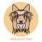 Portrait of Australian Silky Terrier. Vector illustration