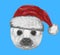 Portrait of Baby Fur Seal with Santa Hat.