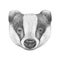 Portrait of Badger.