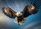 Portrait of a bald eagle, from below, blurred blue sky background in morning generative AI