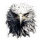 Portrait of a bald eagle on a white background. 3d rendering