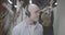 Portrait of bald young man in headphones dancing with blurred coworkers rejoicing at the background. Successful cheerful