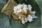 A portrait of Balinese food called Nasi Jinggo on banana leaf