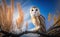 Portrait of a barn owl perching, blurred blue sky and tree branches background, generative AI