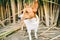 Portrait of basenji dog in the reeds on river shore