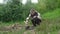 Portrait of bearded skilled fisherman putting brushwood on campfire to making fire on bank of river in evening before