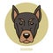 Portrait of Beauceron. Vector illustration