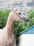 Portrait of beautiful arabian filly at mountain background