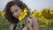 Portrait of beautiful curly girl jokingly biting big sunflower in the sunflower field. Connection with nature. Rural