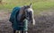 Portrait of a beautiful dapple gray coloured horse wearing green horse blanket