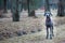 Portrait of a beautiful full-length blue Weimaraner breed dog in nature, looking at the camera