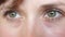 Portrait of beautiful gray-green eyes of a young beautiful woman. beautiful eyes girls closeup.