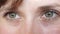 Portrait of beautiful gray-green eyes of a young beautiful woman. beautiful eyes girls closeup.