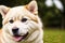 Portrait of a beautiful Japanese Akita dog in the park. Generative AI