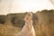 Portrait of a beautiful little princess girl in a pink dress. Posing in a field at sunset