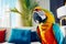 Portrait of a beautiful multicolored macaw parrot in a room