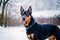 Portrait of a beautiful purebred doberman dog in the park. Generative AI