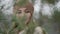 Portrait of beautiful woman in forest, viewing on branch of pines