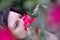 Portrait of a beautiful young individual, eccentric dark-haired woman, her nose stuck deep in fragrant red roses