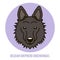 Portrait of Belgian Shepherd Groenendael. Vector illustration