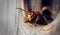 Portrait of a big wasp - a hornet about an entrance to a nest