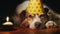 Portrait of a birthday dog in a cap