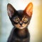 Portrait of a black Abyssinian kitten sitting in a light room beside a window. Closeup face of a beautiful Abyssinian kitty at