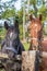 Portrait of a black and brown horse head. Horses have a halter on