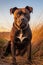 Portrait of black and brown pitbull in field, created using generative ai technology