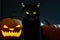 Portrait of Black Cat with Halloween pumpkin on Background
