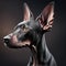 Portrait of a black doberman dog on a dark background. AI Generated