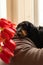 Portrait of black longhaired dachshund lying down on couch with red tulips. Small beautiful wiener dog at home