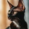 Portrait of a black Oriental Shorthair cat sitting in light room beside a window. Closeup face of a beautiful Oriental Shorthair