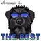 Portrait of black schnauzer in sunglasses and the slogan `schnauzer is the best`