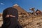 Portrait of a black veiled woman with camel and pyramid in Egypt