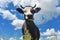 Portrait of a black and white cow on pasture grazing on a background of blue sky with clouds. Agriculture farming animal husbandry